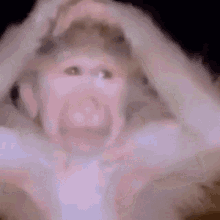 Riquelme Monkey GIF - Riquelme Monkey Cry GIFs