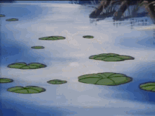 Swamp GIF - Swamp GIFs