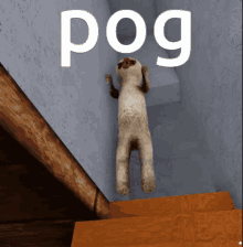 Pog Scp GIF - Pog Scp Poggers GIFs