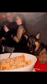 Dog Eating Goofy Dog GIF - Dog Eating Goofy Dog Dog GIFs