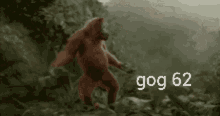 Gog62gog Monkey62 GIF - Gog62gog Monkey62 GIFs