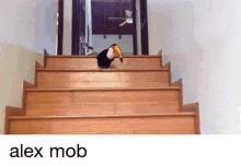 Alexs Mobs Alex Mob GIF - Alexs Mobs Alex Mob Alexthe666 GIFs
