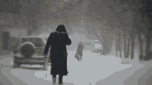 Snow Storm Blizzard GIF - Snow Storm Blizzard Closing Early GIFs