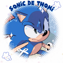 a picture of sonic the hedgehog with the words " sonic de thom " on the bottom