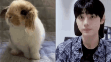 Sunghoon Bunny Bunny Sunghoon GIF - Sunghoon Bunny Bunny Sunghoon Enhypen GIFs