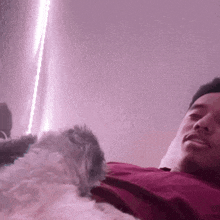 a man is laying on a bed with a cat .