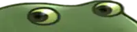 a close up of a green frog 's eyes with a white background .