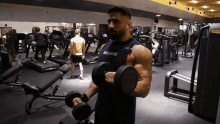Biceps Curl With Static Hold GIF - Biceps Curl With Static Hold GIFs