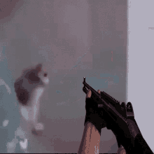 cat with no legs scared cat cat gun escape cat cat with wobbly legs