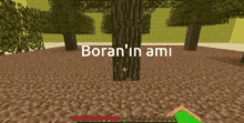 Boran GIF