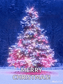 a pink and white christmas tree with the words merry christmas below it