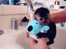 Bath Time!! #cuteoftheday GIF - Monkey Baby Cute GIFs