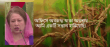 Khaleda Zia Engrsiblysir GIF - Khaleda Zia Engrsiblysir GIFs