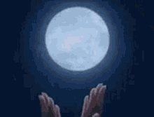 Moon Love GIFs | Tenor