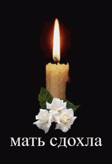 a picture of a lit candle with white roses and the words " мать сдохла " below it