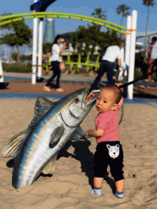 fish tuna baby josiah playground