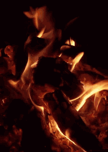 Fire Bonfire GIF - Fire Bonfire GIFs