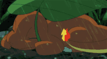 charmander low fire leaf rain pokemon
