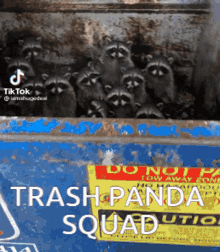 Trashpanda Lionfield GIF - Trashpanda Lionfield Raccoon GIFs