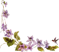 a hummingbird is flying over purple flowers