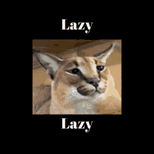 Lazy Lazy Cat GIF - Lazy Lazy Cat Lazy Medusa GIFs