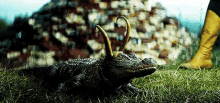 Loki Alligator GIF - Loki Alligator Whoa GIFs
