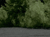 a blurred image of a person walking on a road