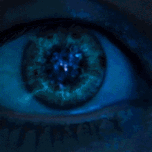 Warfraime Eye GIF - Warfraime Eye Blue Eye GIFs