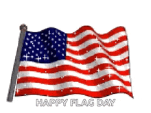 Flag 4th GIF - Flag 4th Fourth Of July GIFs