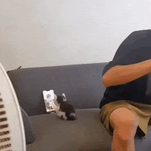 a man is sitting on a couch playing with a kitten on the couch .