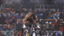 He Did It Haha Getting Up The Ladder GIF - He Did It Haha Getting Up The Ladder Showing Both Titles GIFs