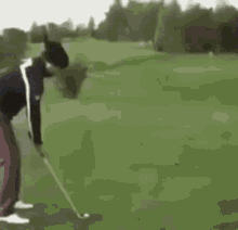 Golf Cart GIF - Golf Cart Crash GIFs