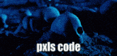 a blue background with the words pxls code written on it