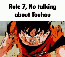 Rule7 No Touhou GIF - Rule7 No Touhou GIFs