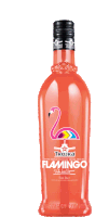 Flamingo Trojka Sticker - Flamingo Trojka Flemon Stickers