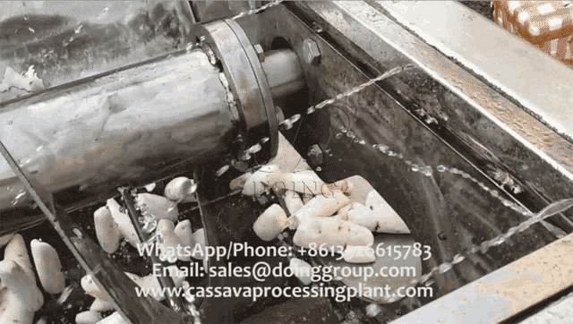 Cassava peeling machine_Cassava peeling machine