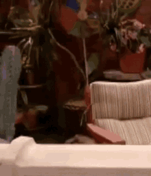 a living room with a couch , table , and a plant .