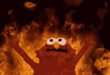 Elmo Flaming GIF - Elmo Flaming Funny GIFs