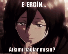 Ergin Ergin Mikasa GIF