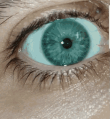 Green Eye Eye GIF - Green Eye Eye Eyelashes GIFs