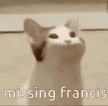 Missing Francis Francis GIF - Missing Francis Francis Sinjin Drowned GIFs