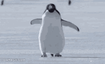 Penguin_walk - Discord Emoji