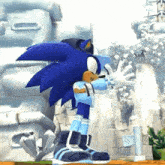sonic the hedgehog is wearing a hat and gloves
