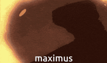 Maximus Gideon Graves Maximus GIF - Maximus Max Gideon Graves Maximus GIFs