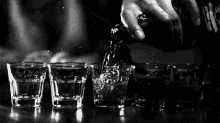 алкоголь пить пьяный GIF - Alcohol Drink Shots GIFs