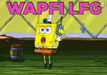 Wapfi Lfg GIF - Wapfi Lfg GIFs