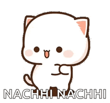 a cartoon cat with the words nachhi nachhi written below it .