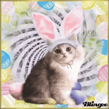 Happy Easter Cat GIF - Happy Easter Cat Bunny GIFs