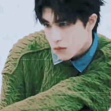 a man wearing a green sweater and a blue shirt is looking at the camera .