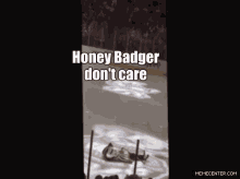 bucky skate ice badger honey